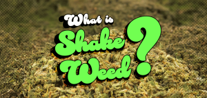 what is shake weed