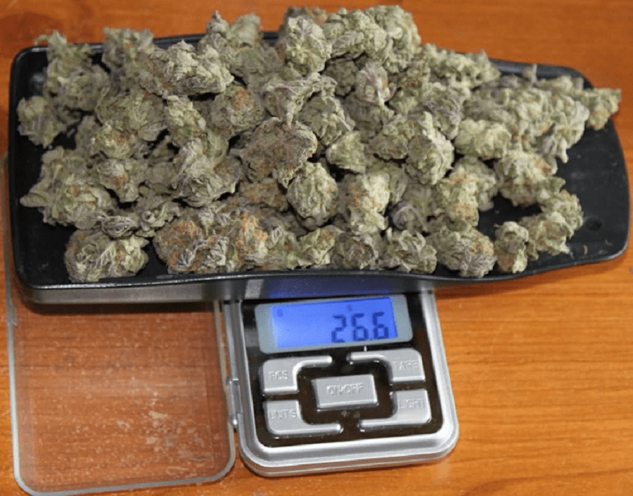 Weed Measurements Every User Should Know About | Mary Jane's Garden How Much Is 1/3 Of A Pound